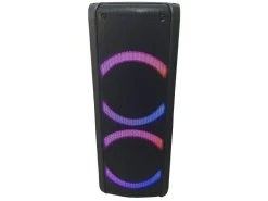 Reflexion PS09BT Bluetoothbox mit Radio