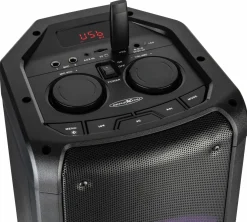 Reflexion PS09BT Bluetoothbox mit Radio