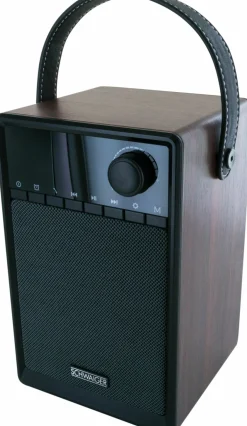 Schwaiger 715736 Radiowecker mit Powerbank