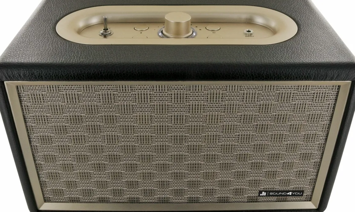 Schwaiger 24 Watt Retro Bluetooth Lautsprecher