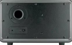 Schwaiger 24 Watt stereo Bluetooth Lautsprecher - Black