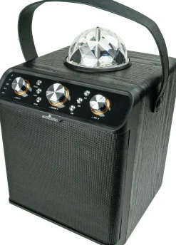 Schwaiger Bluetooth Party Lautsprecher
