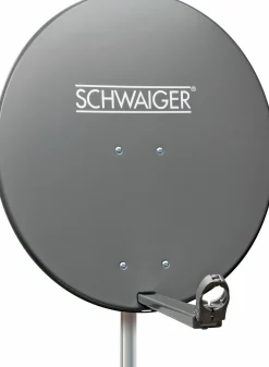 Schwaiger SPI800 anthrazit 80 cm Alu-Spiegel