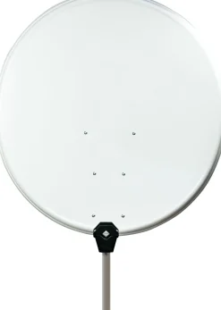 Schwaiger SPI980.0 hellgrauer 98 cm Stahl-Spiegel