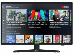 Selfsat Smart-LED-TV 1222 22"
