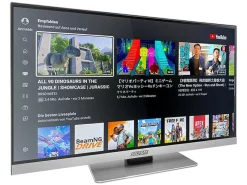 Selfsat Smart-LED-TV 1255 22